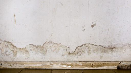 Your Trusted Experts for Plumbing Leaks in Your Home in Downtown